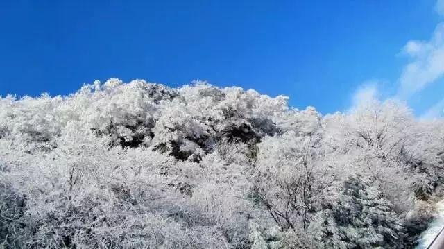 今日大寒|绝美节气海报已送达!快来收集→